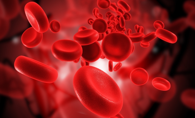 Cat sange avem in organism si cat ne putem permite sa pierdem?