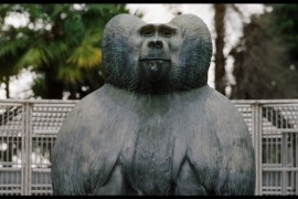 Ouale lui Tarzan, un documentar halucinant regizat de Alexandru Solomon, in premiera mondiala la TIFF