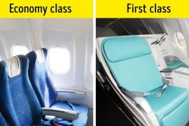 De ce sunt scaunele avioanelor albastre?